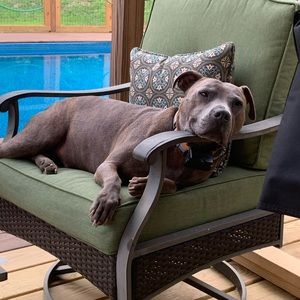 Meet your Posher, Donna